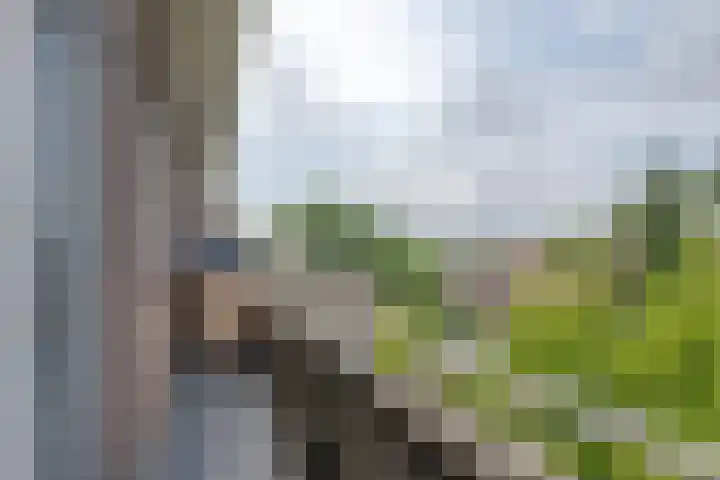 Van Swietenlaan 77 A Rotterdam thumbnail 18