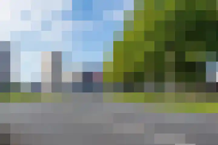 Van Swietenlaan 77 A Rotterdam thumbnail 22