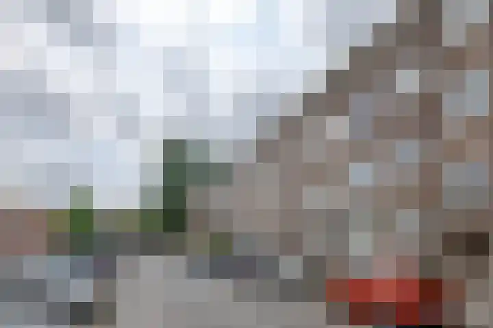Van Swietenlaan 77 A Rotterdam thumbnail 6