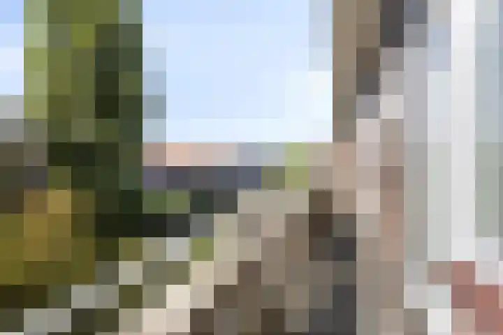 Van Swietenlaan 79 D Rotterdam thumbnail 20