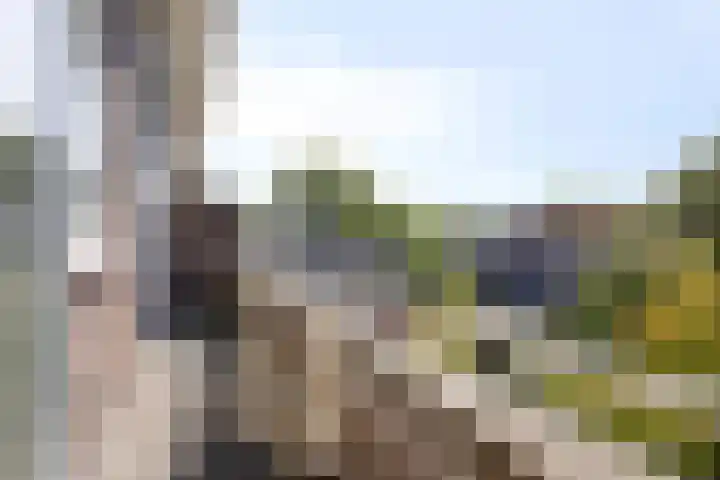 Van Swietenlaan 79 D Rotterdam thumbnail 21