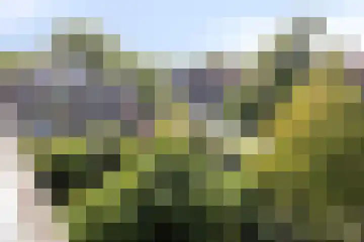 Van Swietenlaan 79 D Rotterdam thumbnail 22