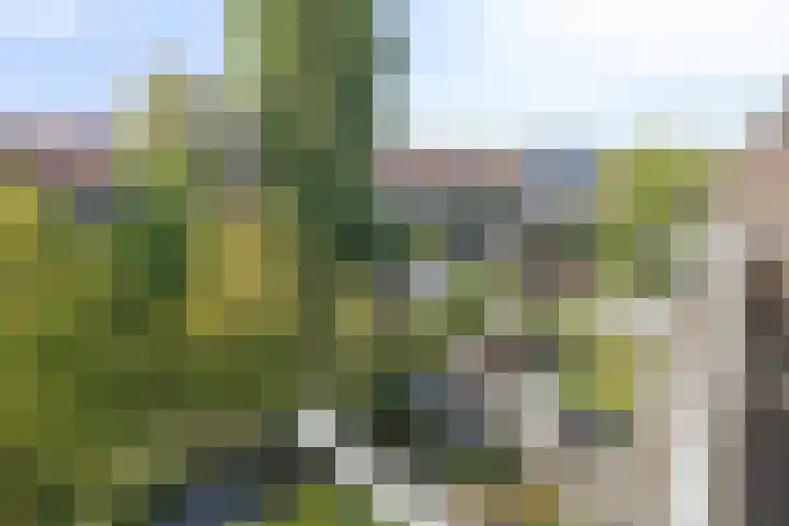 Van Swietenlaan 79 D Rotterdam thumbnail 23
