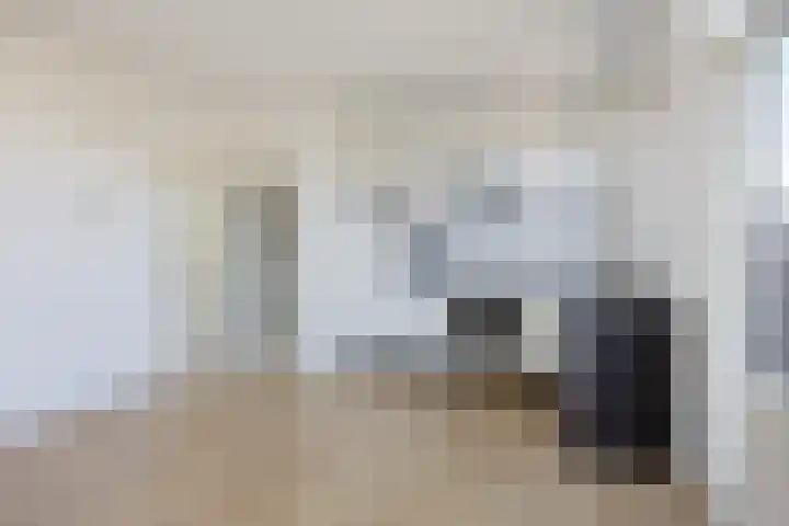 Van Swietenlaan 79 D Rotterdam thumbnail 8