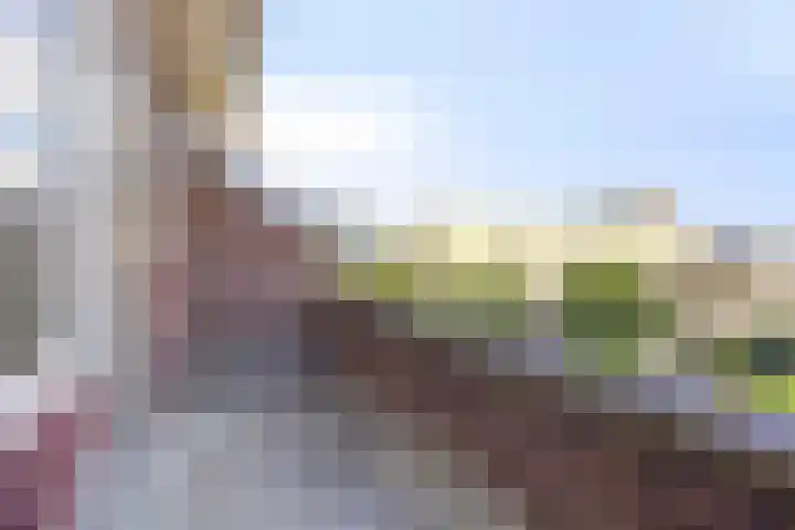 Van Swietenlaan 79 D Rotterdam thumbnail 9