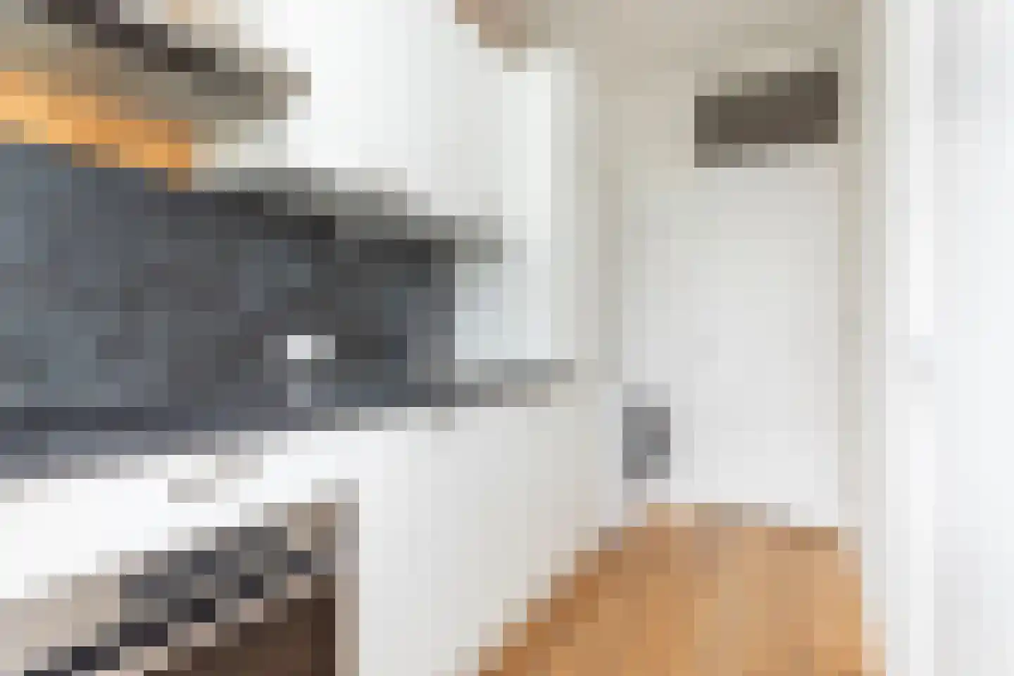 Van Swietenlaan 87 B Rotterdam thumbnail 4