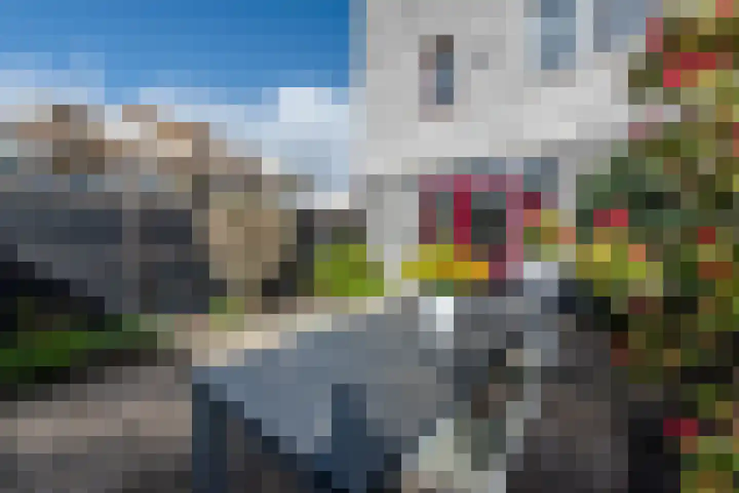 Van Swietenstraat 1 Haarlem thumbnail 23