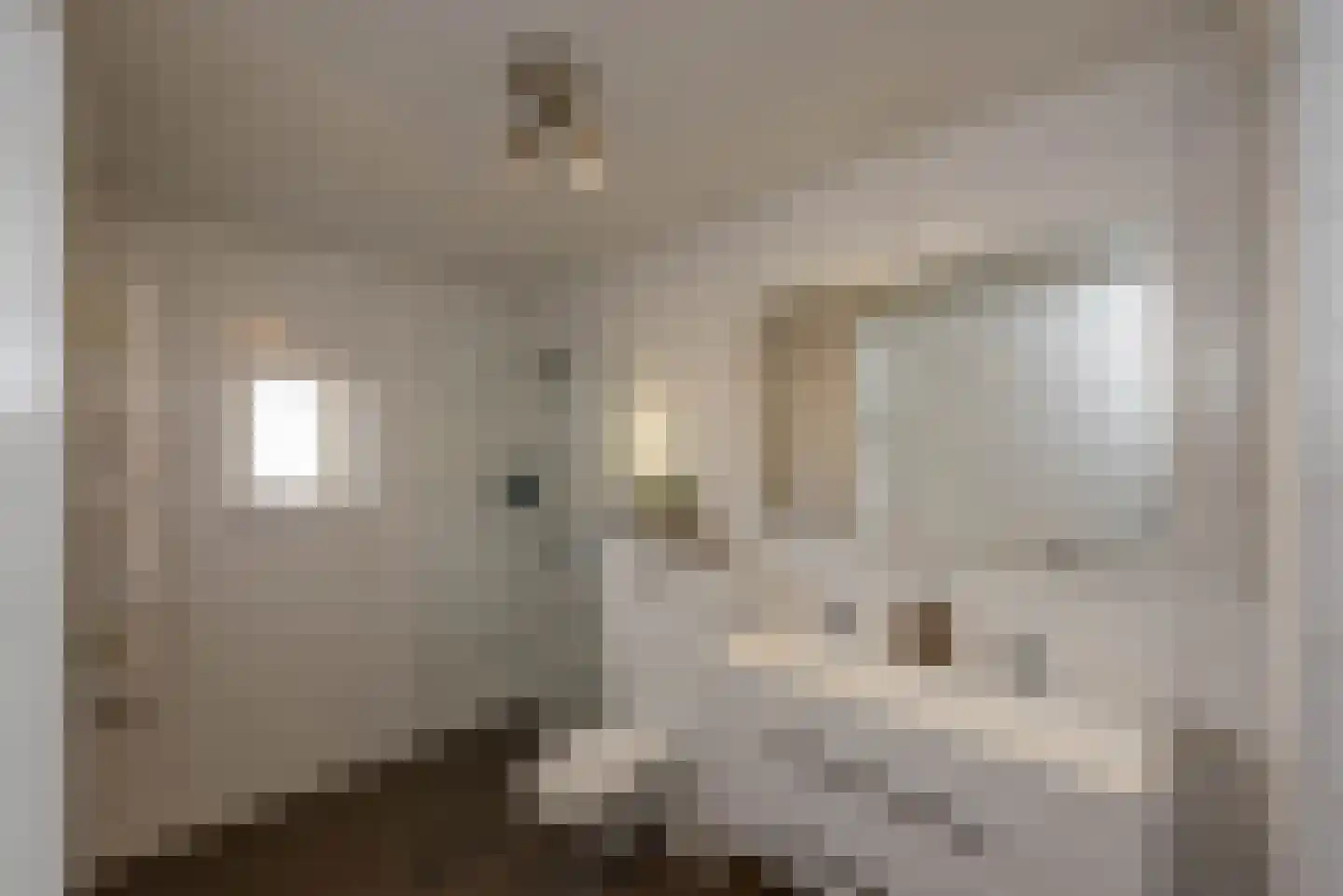 Van Swietenstraat 1 Haarlem thumbnail 25