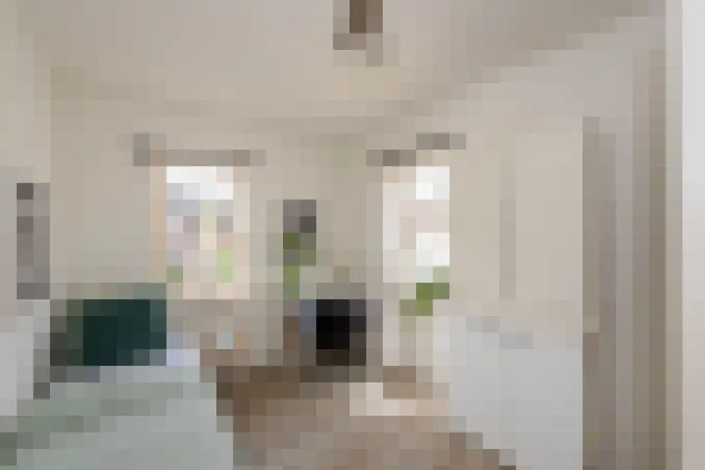 Van Swietenstraat 1 Haarlem thumbnail 30