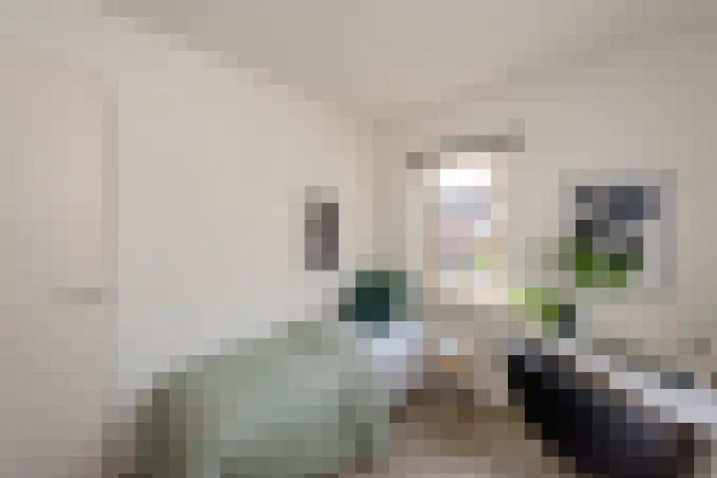 Van Swietenstraat 1 Haarlem thumbnail 31