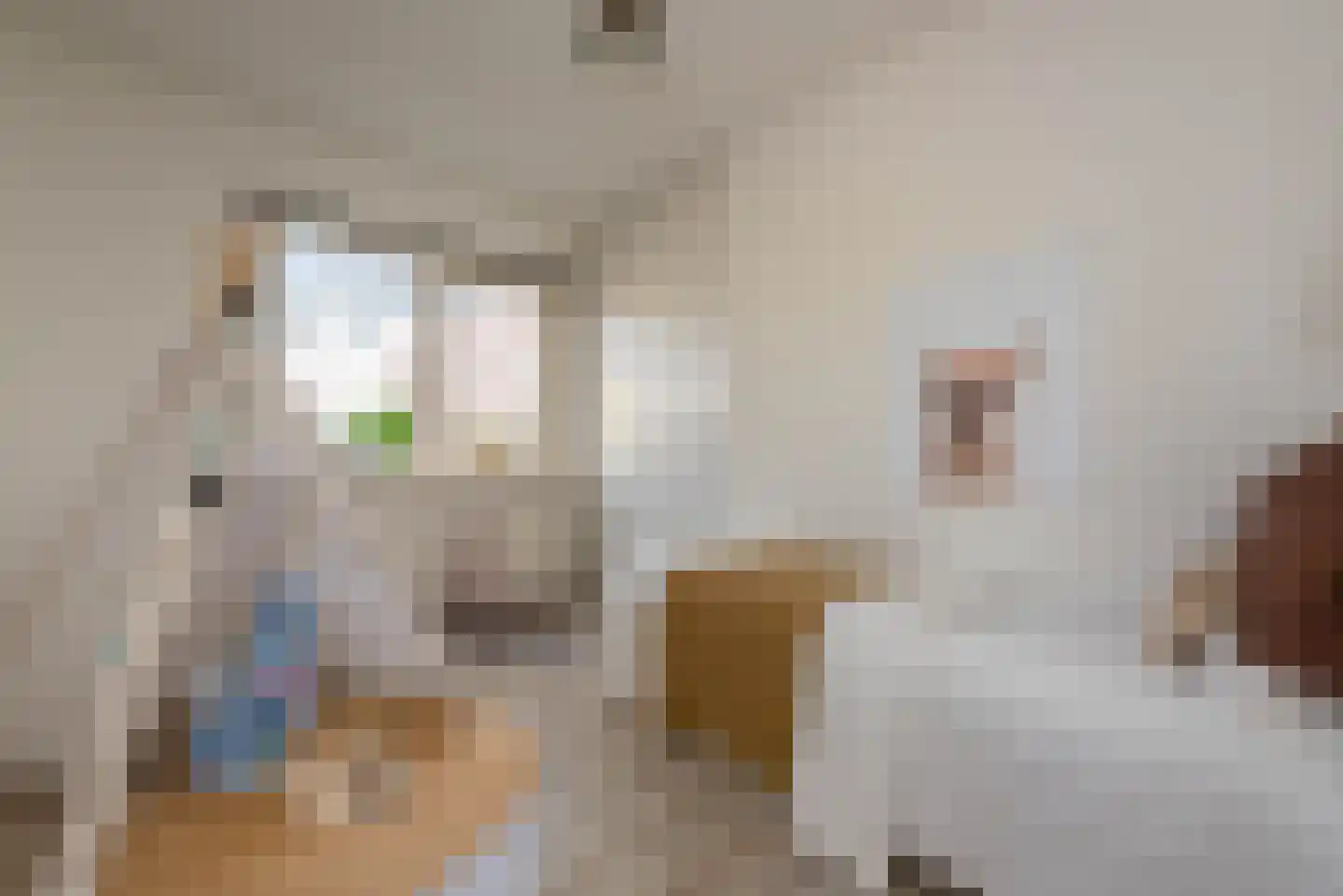 Van Swietenstraat 1 Haarlem thumbnail 32