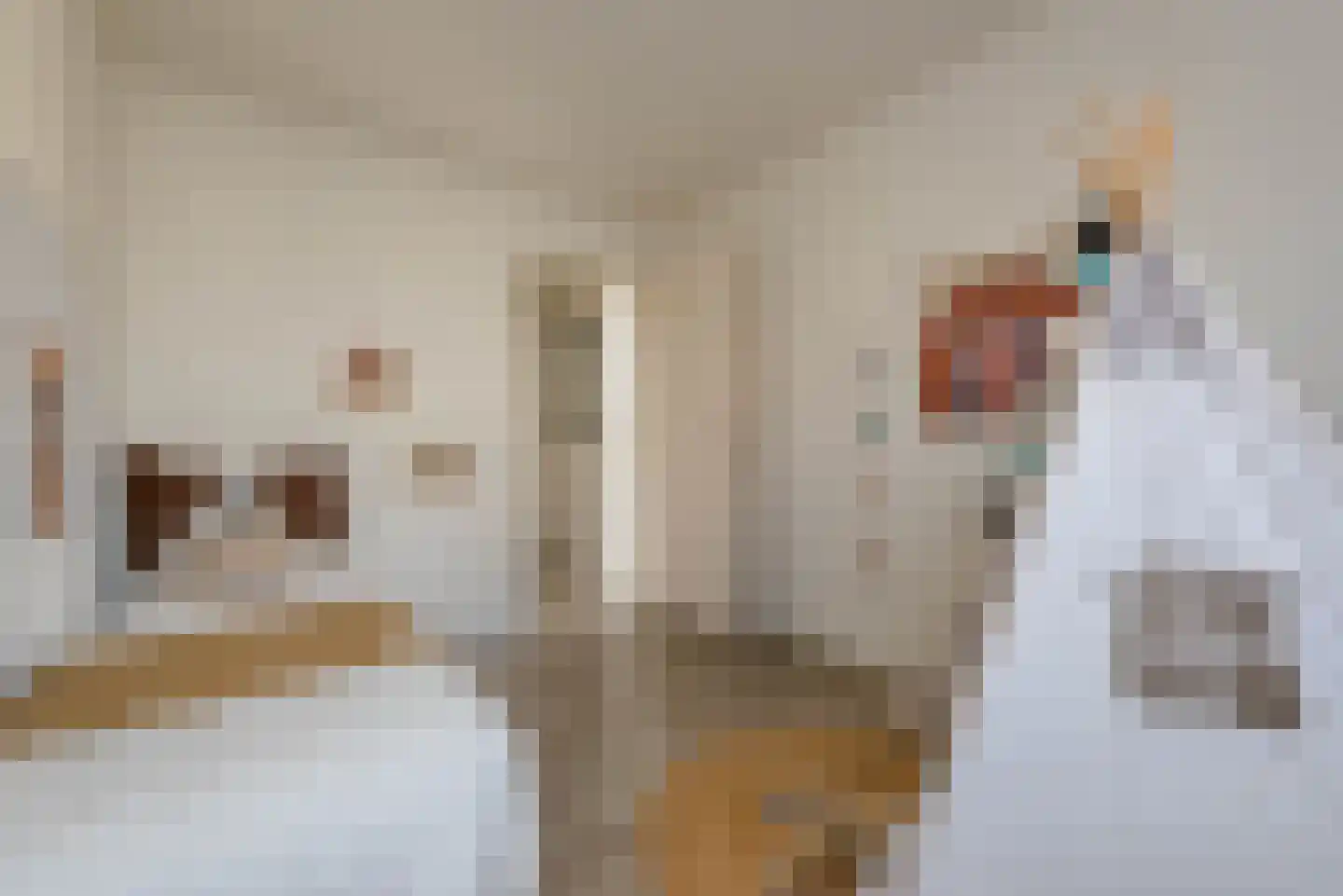 Van Swietenstraat 1 Haarlem thumbnail 34