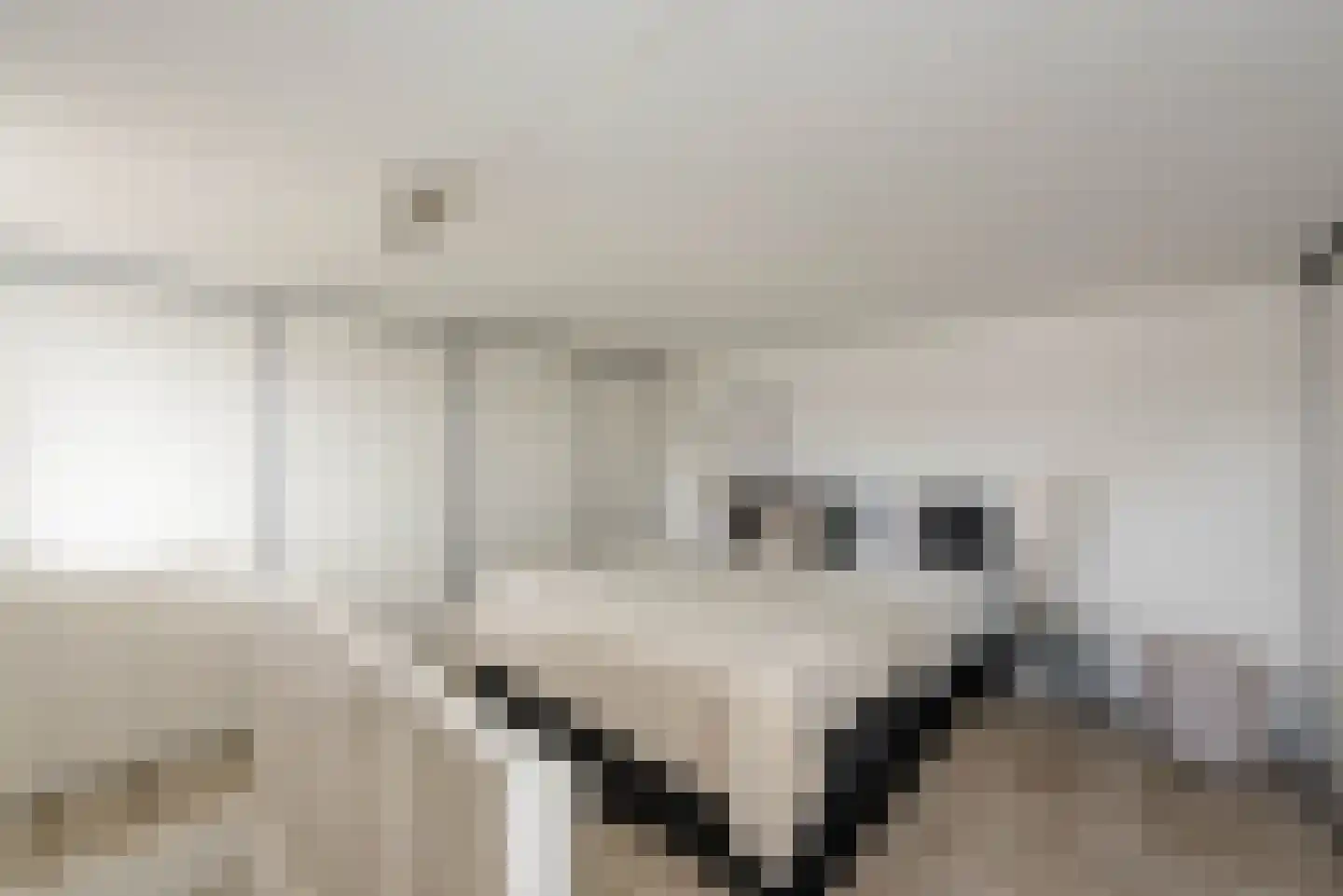 Van Swietenstraat 1 Haarlem thumbnail 35