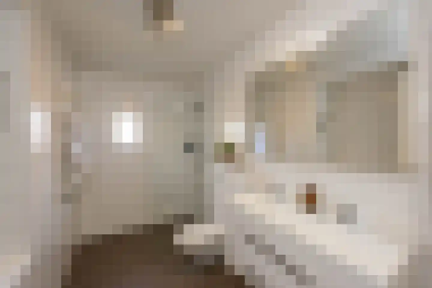 Van Swietenstraat 1 Haarlem thumbnail 4