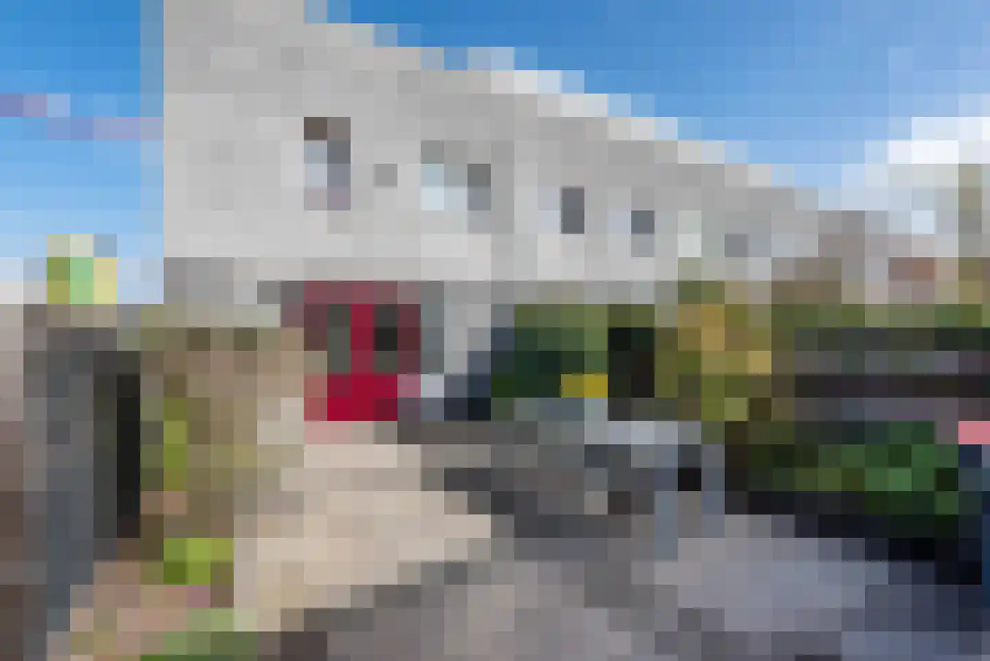 Van Swietenstraat 1 Haarlem thumbnail 5