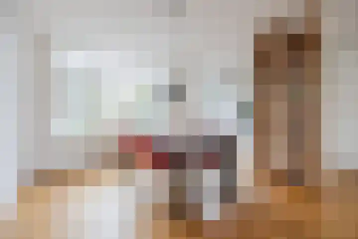 van Swietenstraat 1 Terneuzen thumbnail 10