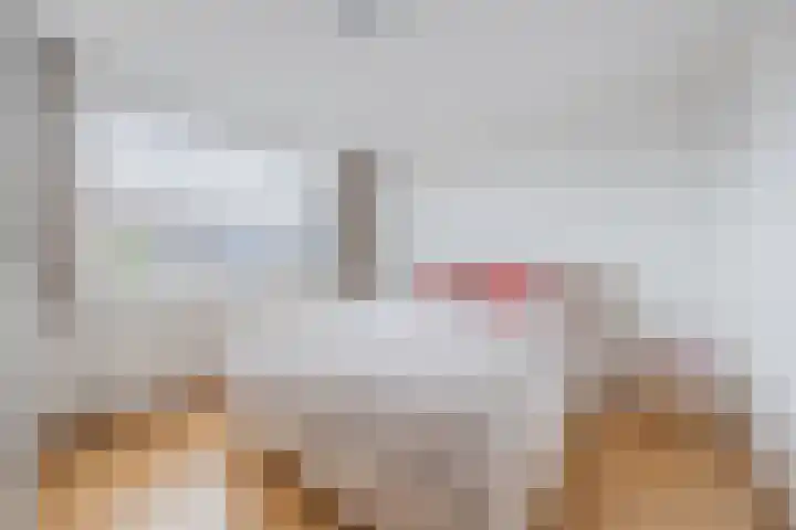 van Swietenstraat 1 Terneuzen thumbnail 16