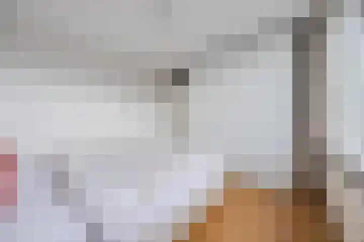 van Swietenstraat 1 Terneuzen thumbnail 17