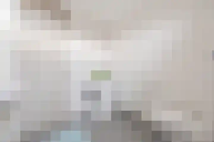 van Swietenstraat 1 Terneuzen thumbnail 22