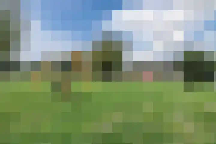 van Swietenstraat 1 Terneuzen thumbnail 33