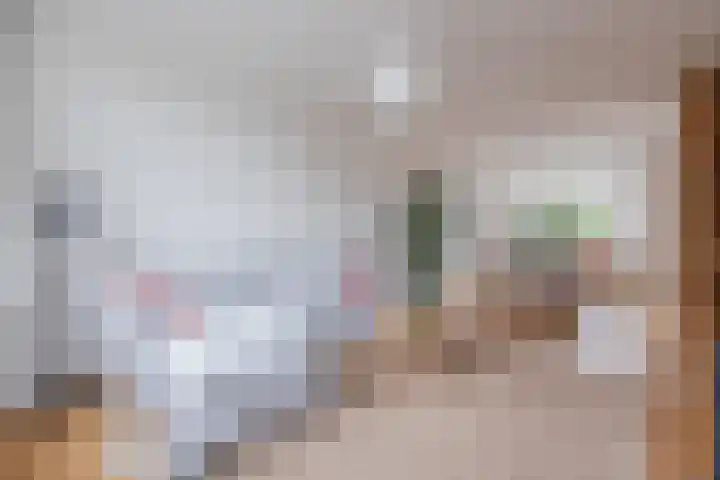 van Swietenstraat 1 Terneuzen thumbnail 8