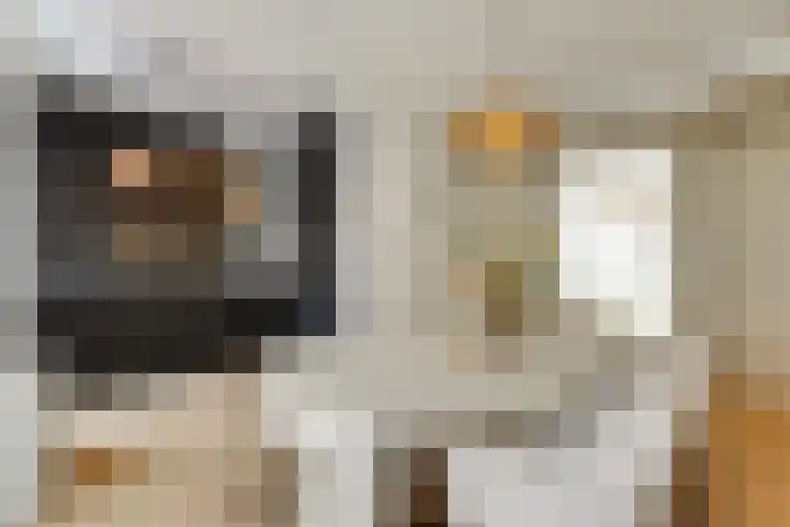 Van Swietenstraat 101 in Den Haag