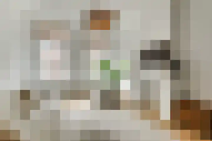 Van Swietenstraat 101 Den Haag thumbnail 11