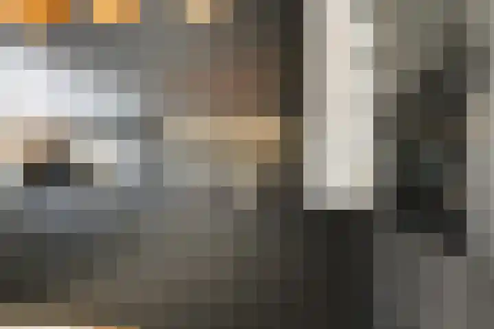 Van Swietenstraat 101 Den Haag thumbnail 19