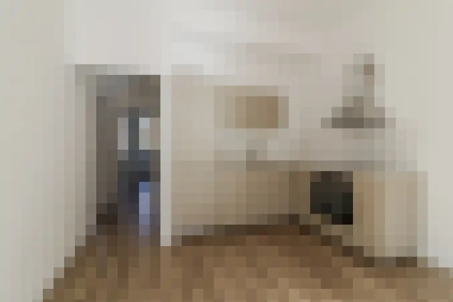 Van Swietenstraat 107 Den Haag thumbnail 18