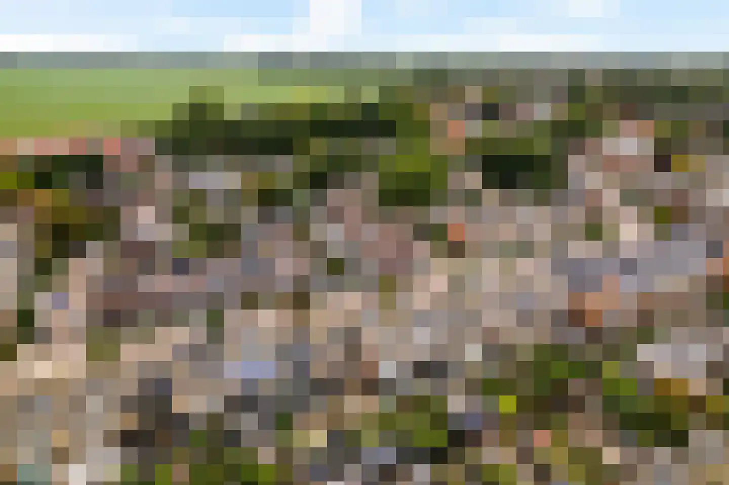 van Swietenstraat 17 Zoeterwoude thumbnail 13