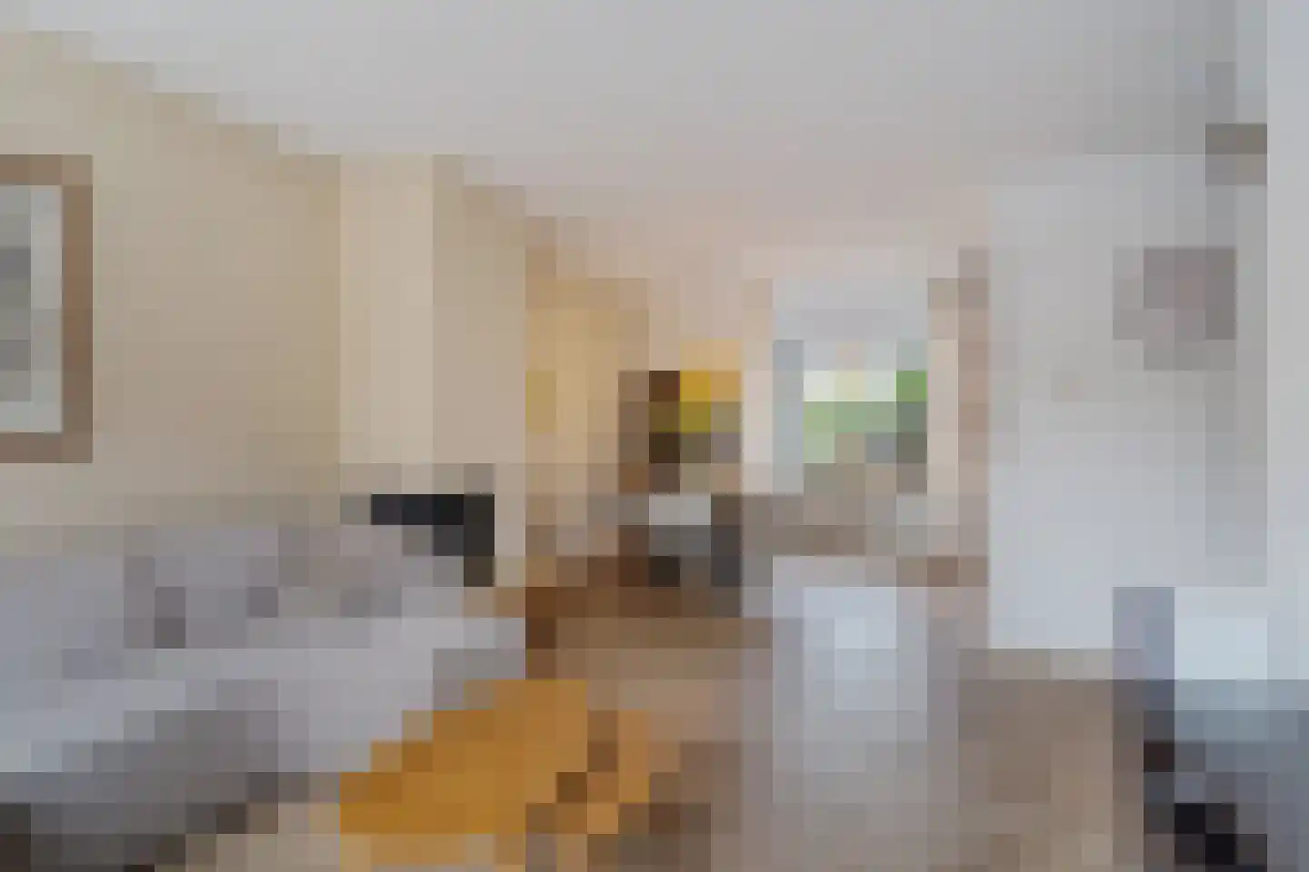 van Swietenstraat 17 Zoeterwoude thumbnail 22