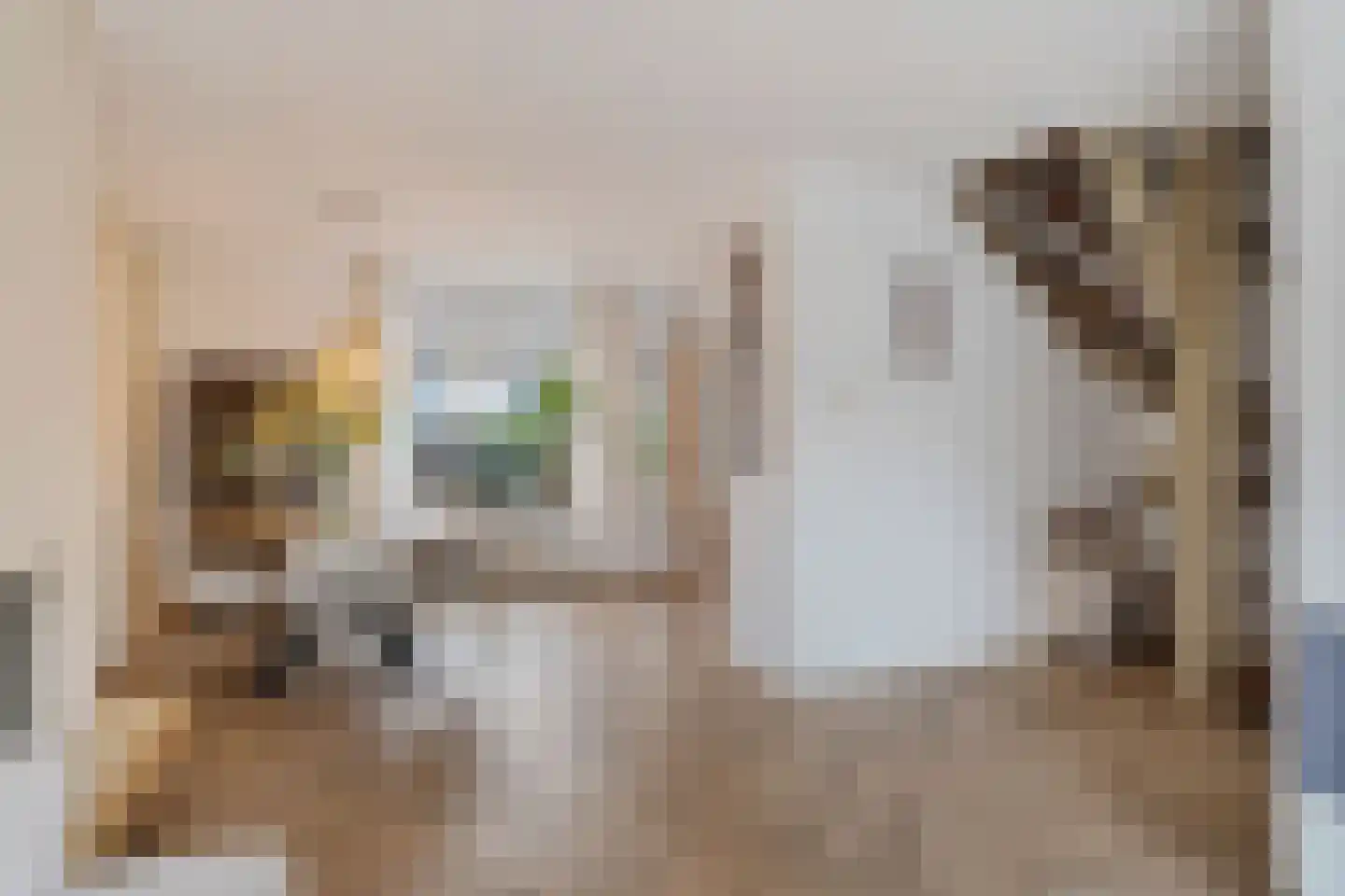 van Swietenstraat 17 Zoeterwoude thumbnail 24