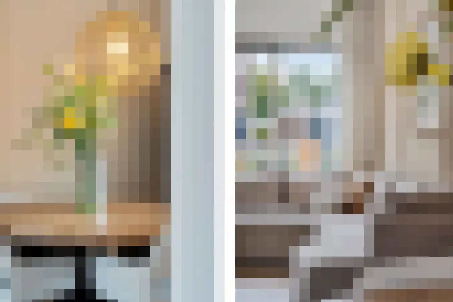 van Swietenstraat 17 Zoeterwoude thumbnail 26