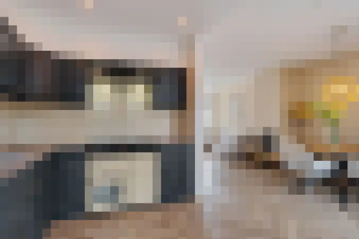van Swietenstraat 17 Zoeterwoude thumbnail 29