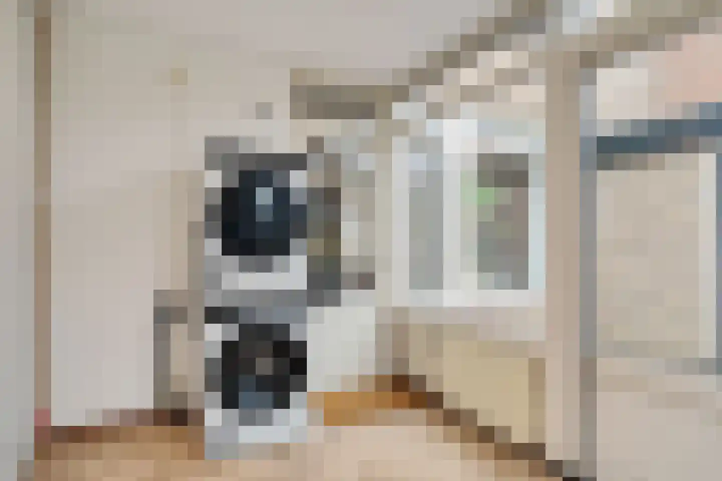 van Swietenstraat 17 Zoeterwoude thumbnail 31