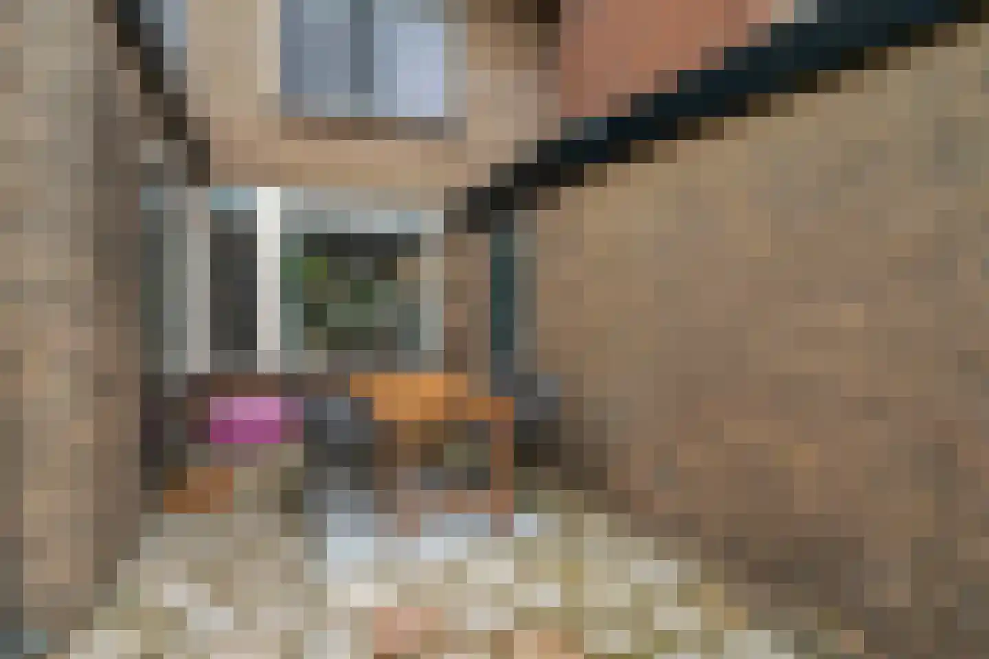 van Swietenstraat 17 Zoeterwoude thumbnail 35