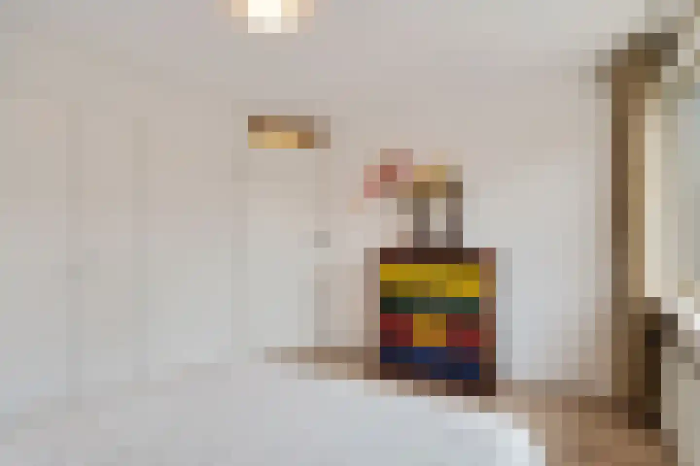 van Swietenstraat 17 Zoeterwoude thumbnail 41