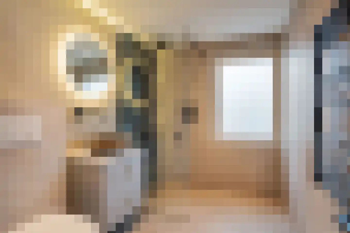 van Swietenstraat 17 Zoeterwoude thumbnail 42