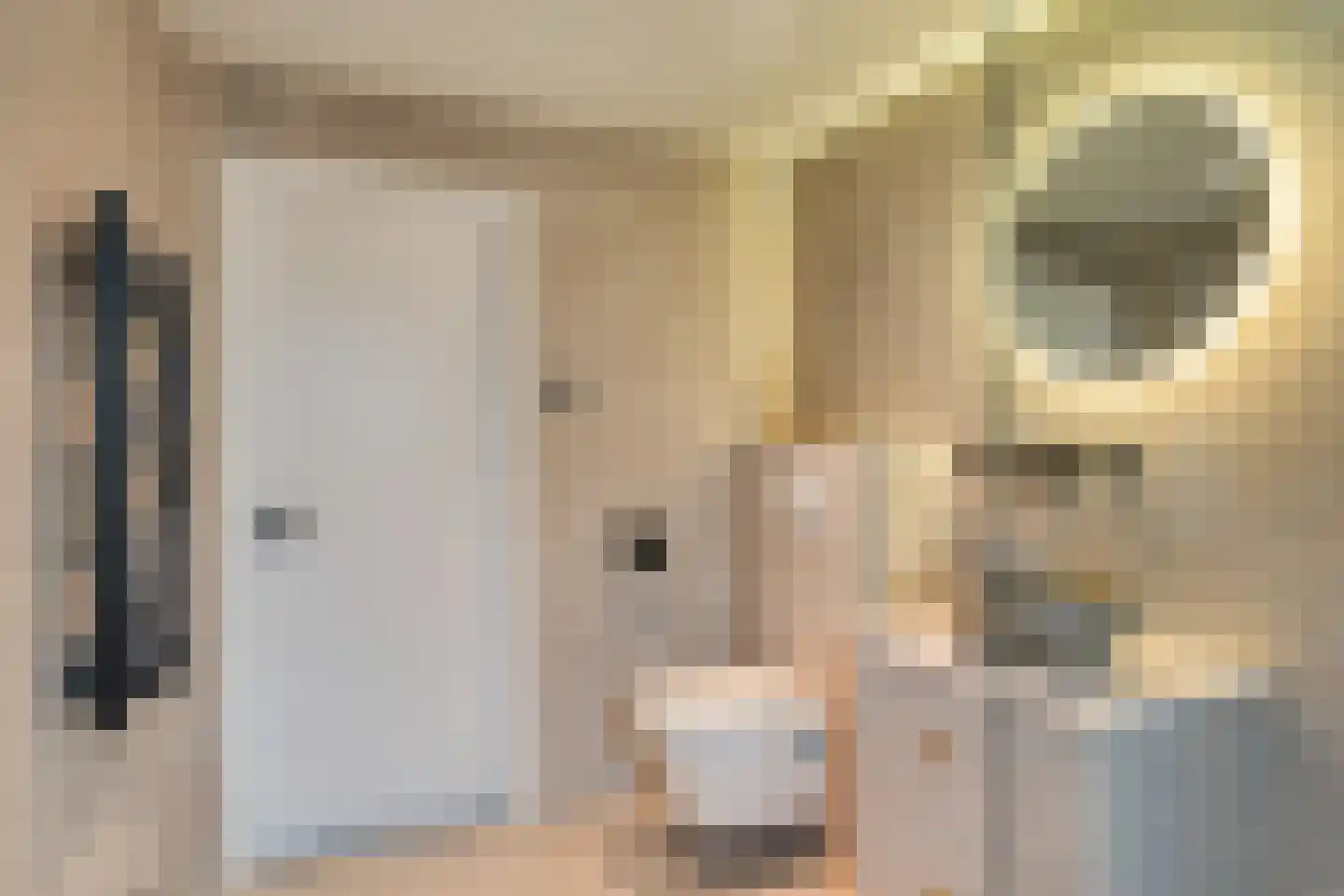 van Swietenstraat 17 Zoeterwoude thumbnail 43