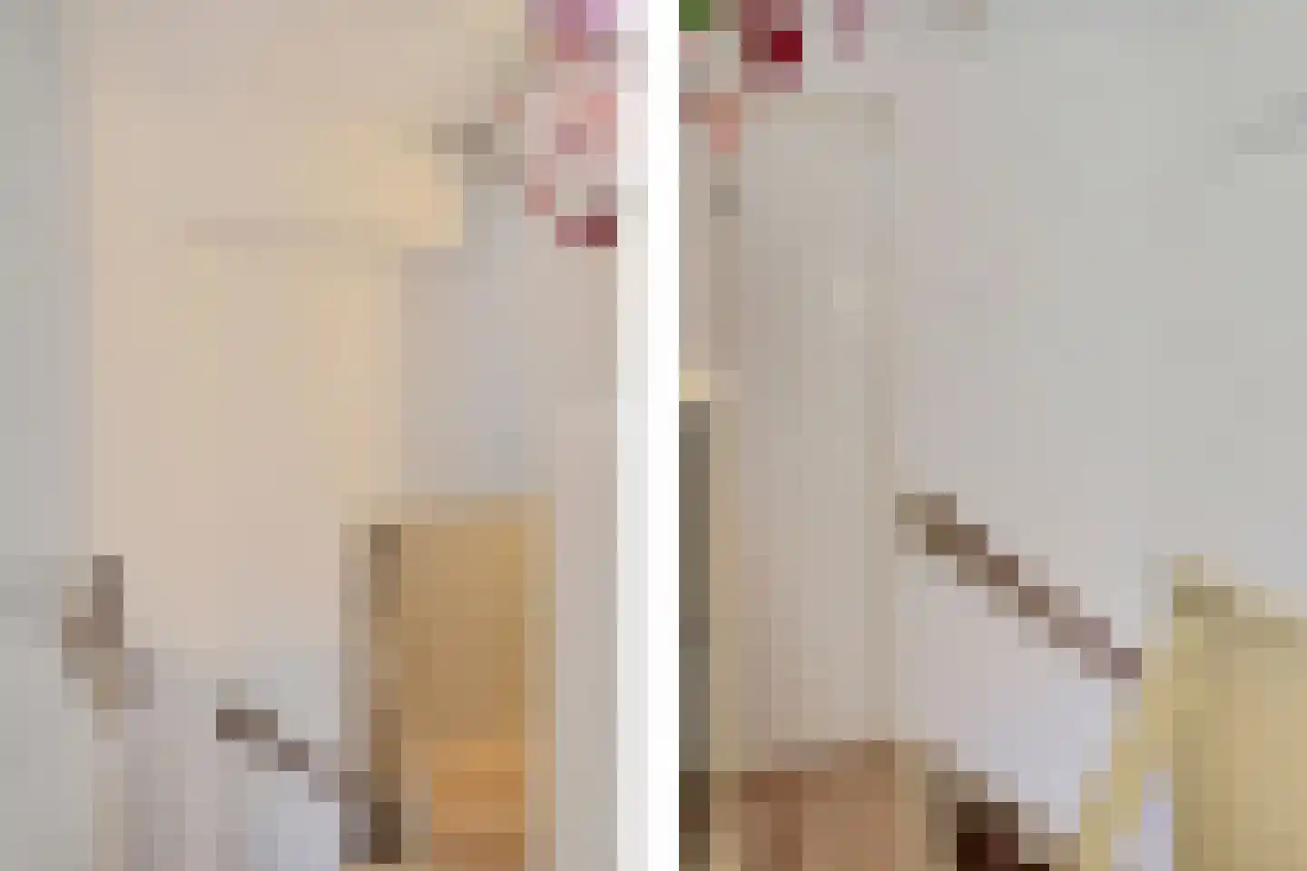 van Swietenstraat 17 Zoeterwoude thumbnail 52