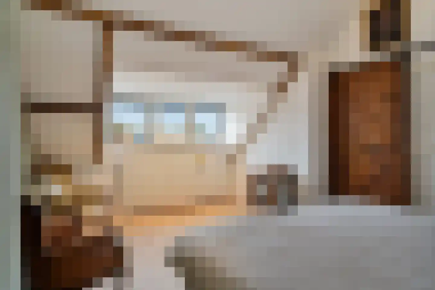 van Swietenstraat 17 Zoeterwoude thumbnail 54