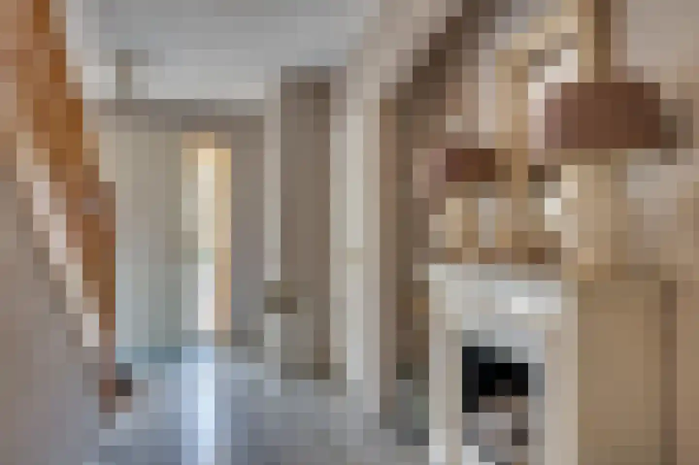 van Swietenstraat 2 Venlo thumbnail 14