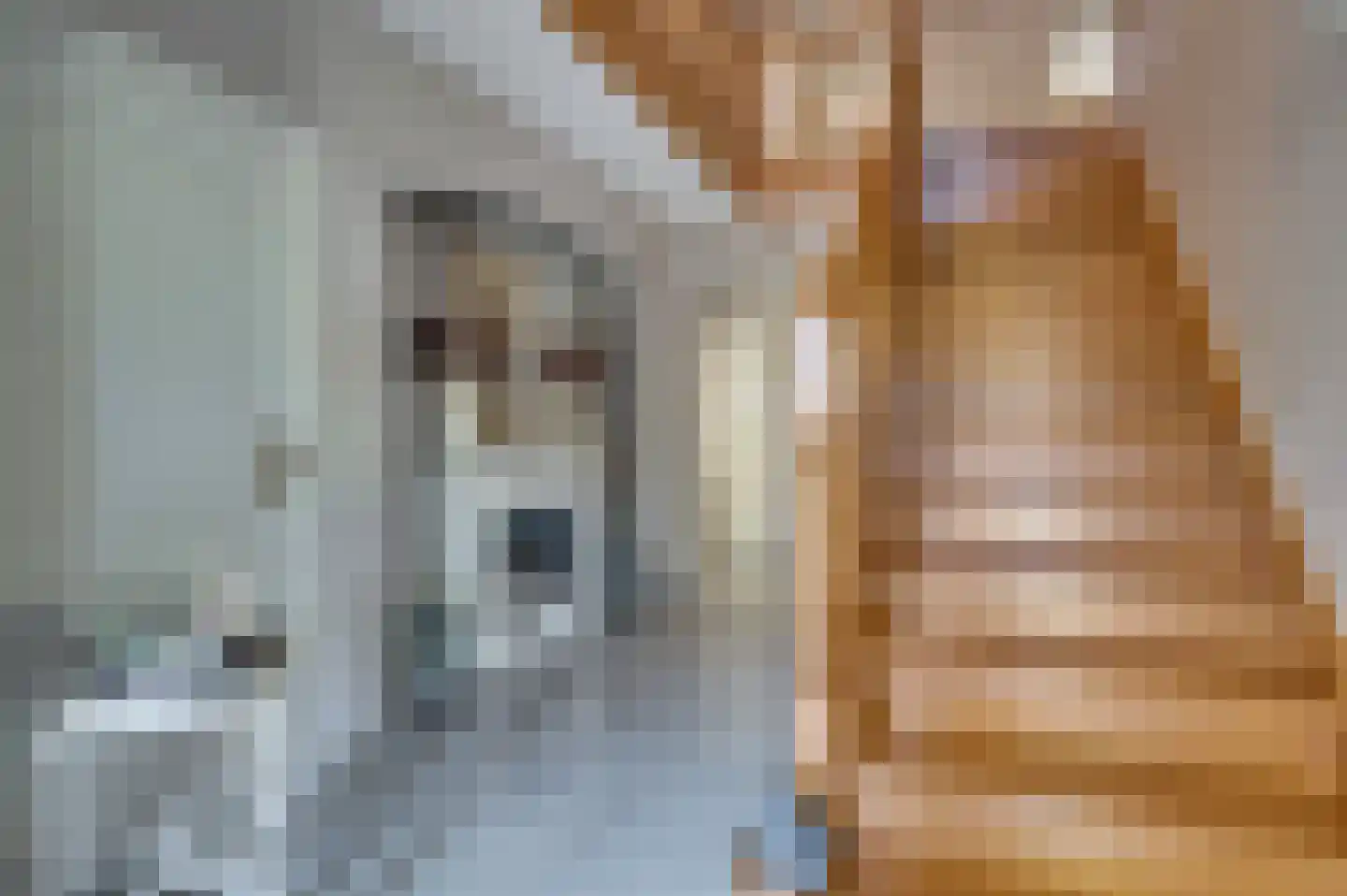 van Swietenstraat 2 Venlo thumbnail 15