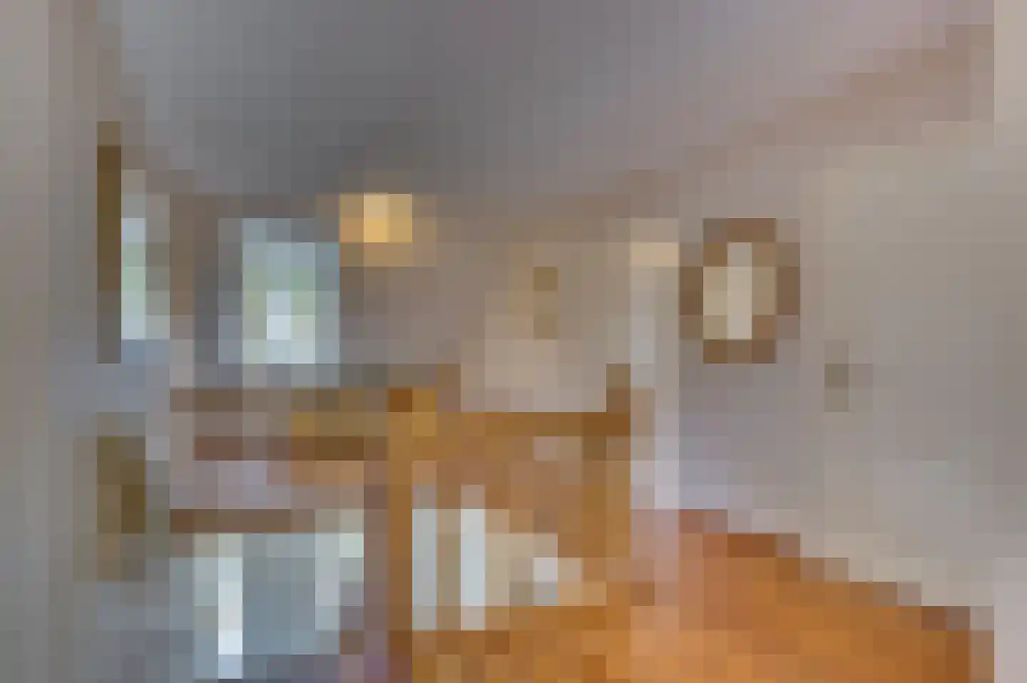 van Swietenstraat 2 Venlo thumbnail 17