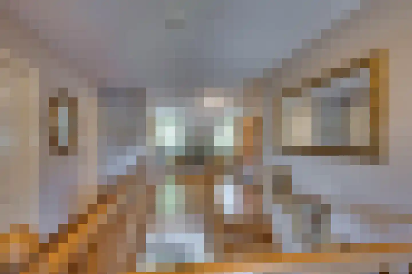 van Swietenstraat 2 Venlo thumbnail 18