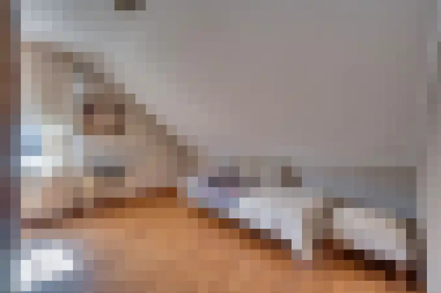 van Swietenstraat 2 Venlo thumbnail 22