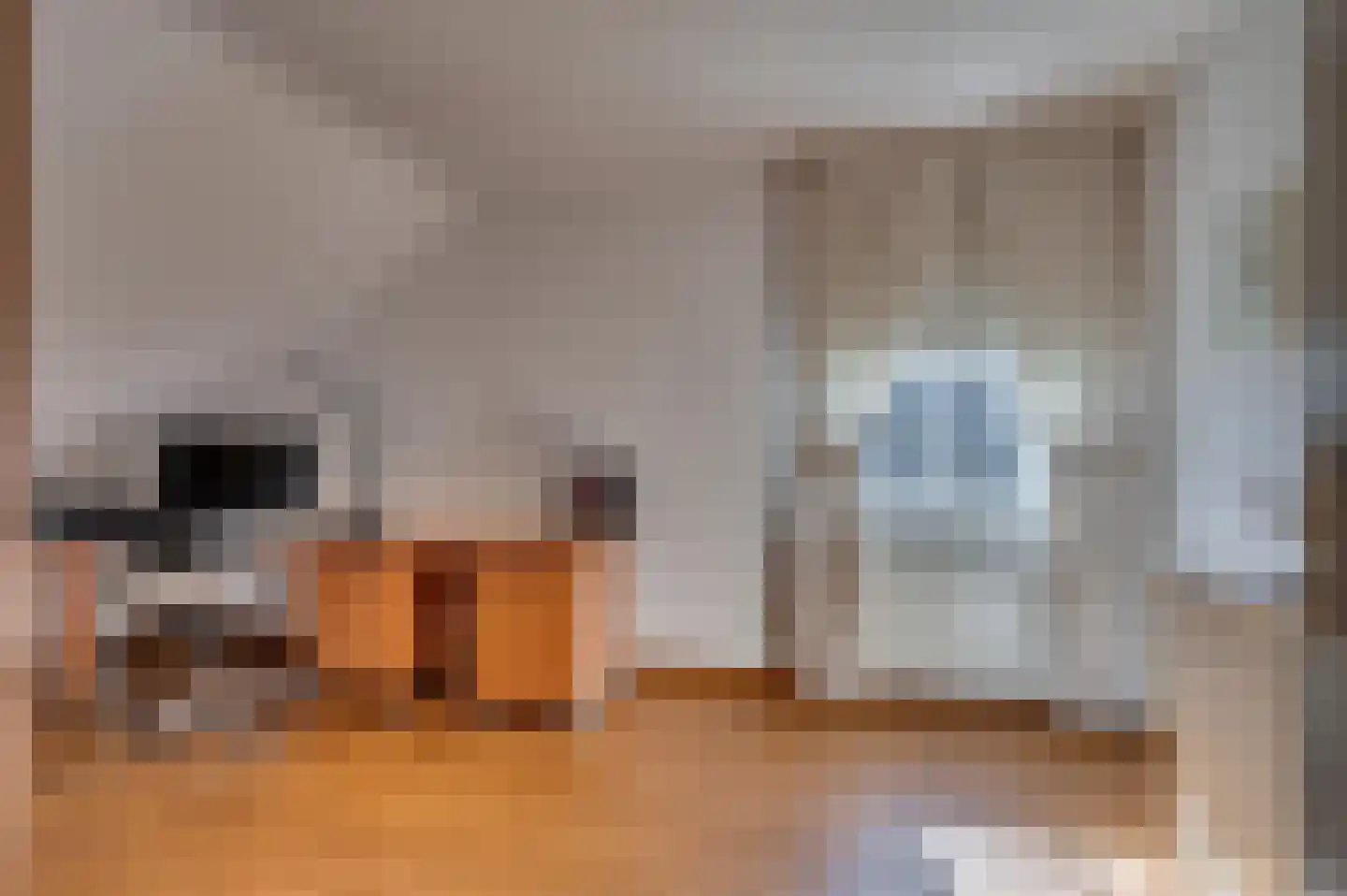 van Swietenstraat 2 Venlo thumbnail 23