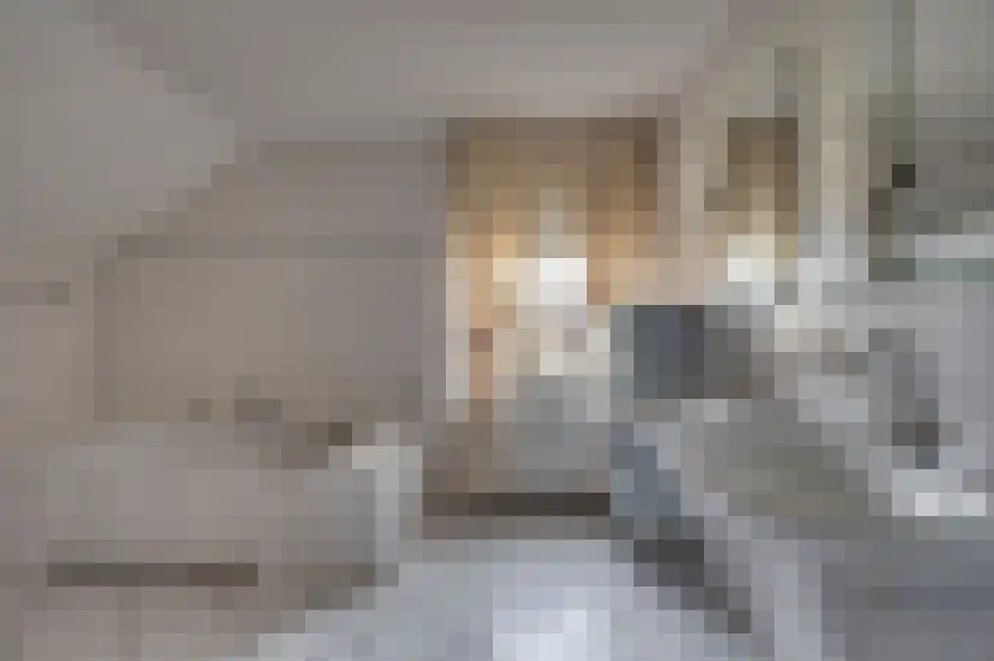 van Swietenstraat 2 Venlo thumbnail 25