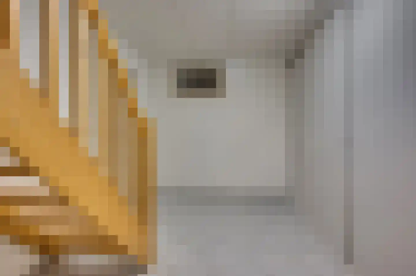 van Swietenstraat 2 Venlo thumbnail 28