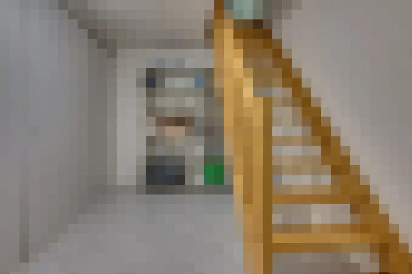 van Swietenstraat 2 Venlo thumbnail 30